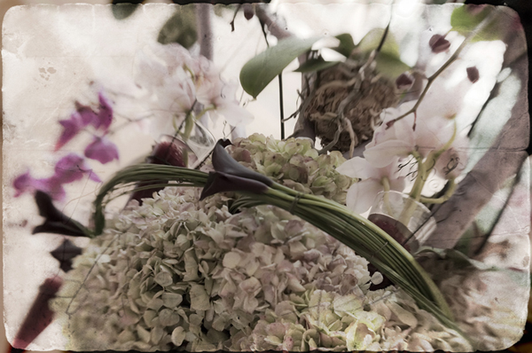 Image #1 of 12: 