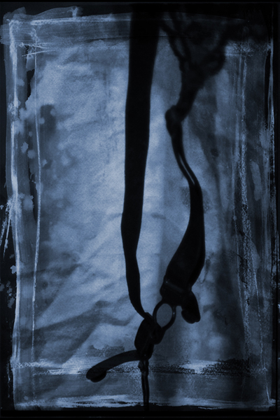Image #2 of 12: 