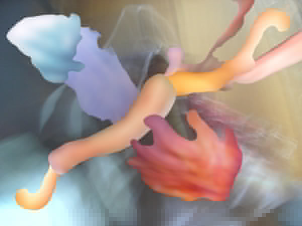 Image #1 of 12: 