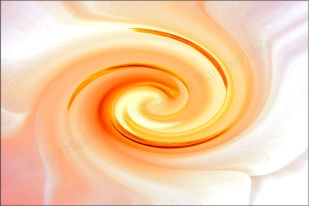 Image #2 of 12: 