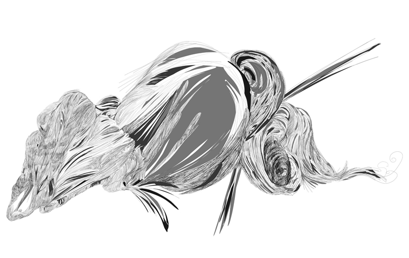 Image #1 of 13: 