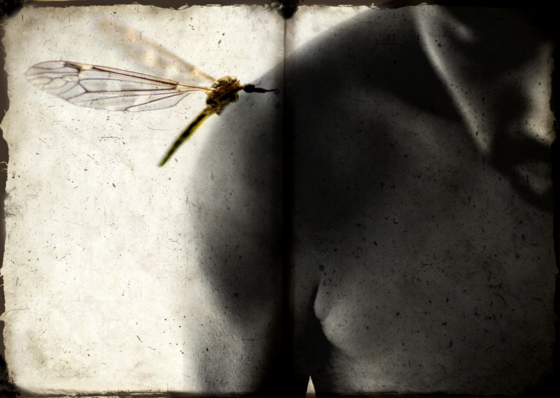 Image #1 of 8: 