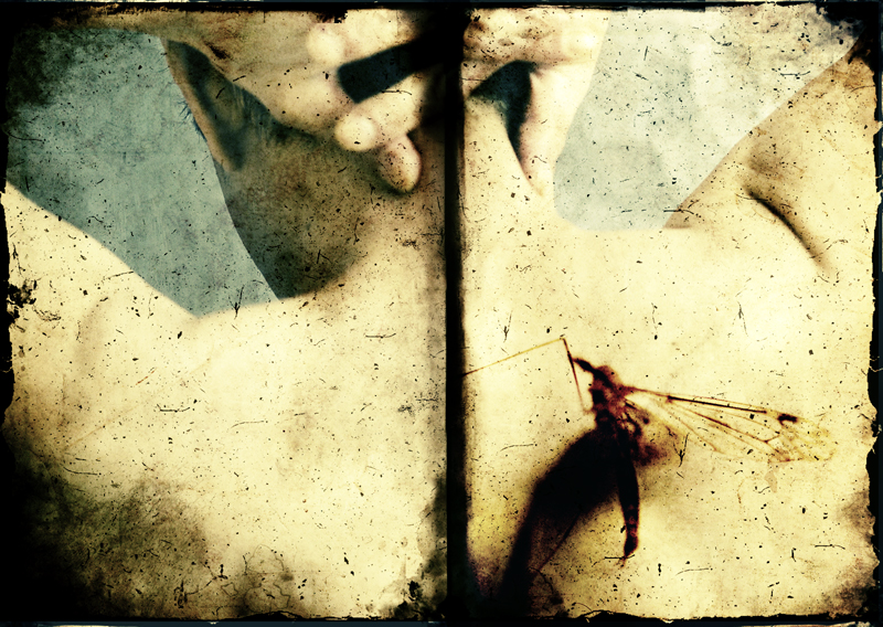 Image #3 of 8: 