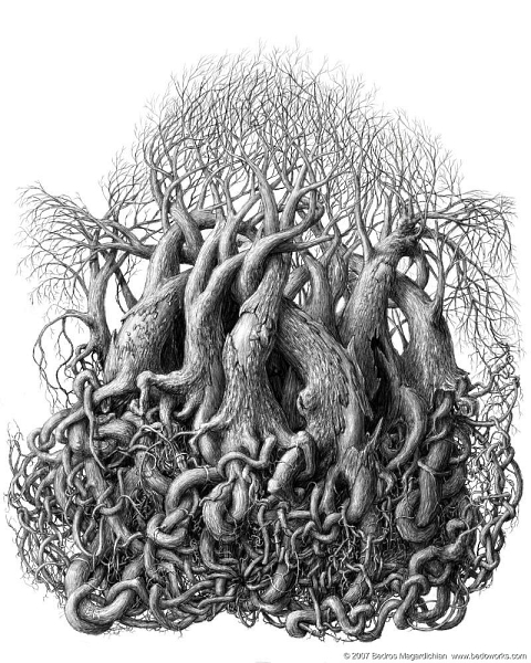 Image #3 of 3: 