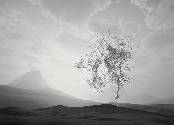 Image #1 of 12: 
