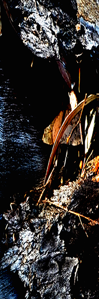 Image #1 of 6: 