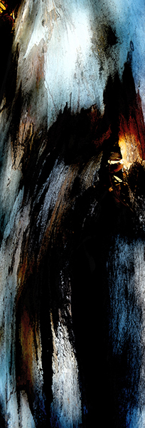 Image #2 of 6: 