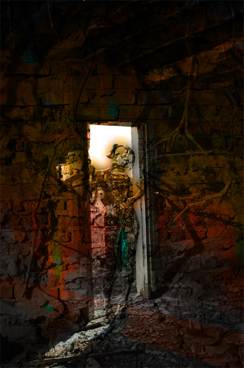 Image #2 of 11: 