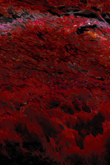 Image #1 of 12: 