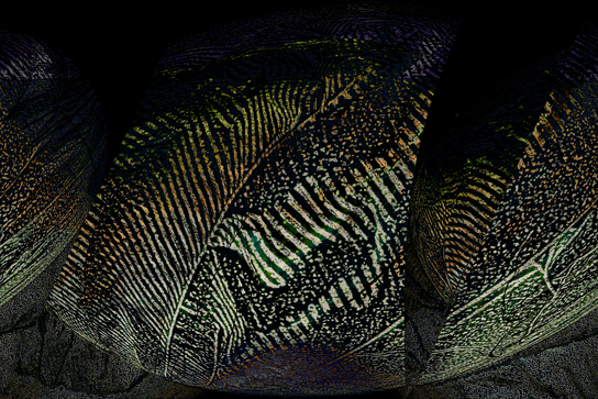 Image #3 of 12: 