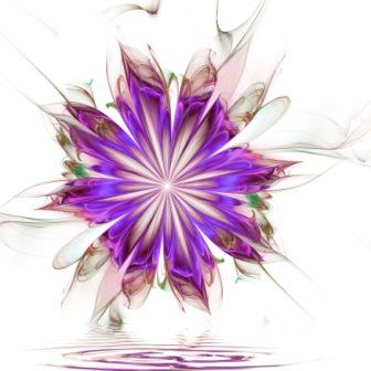 Image #1 of 12: 