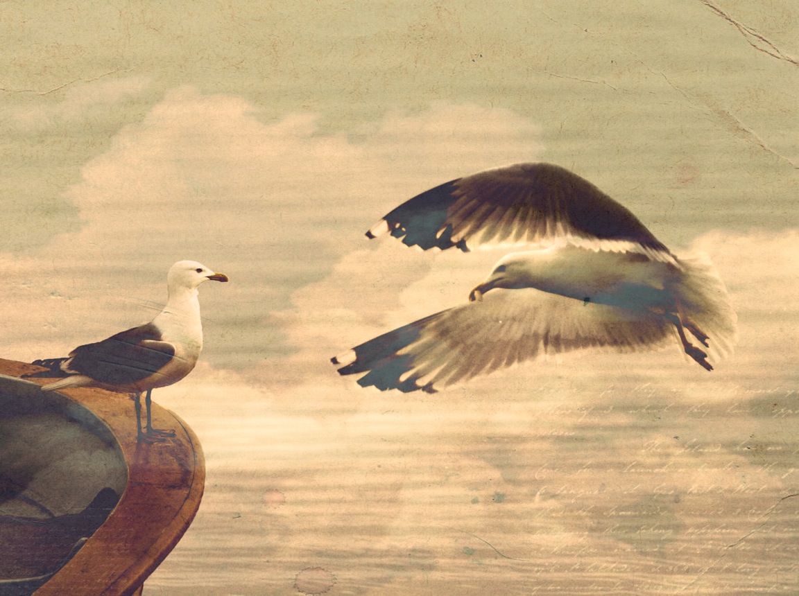 Image #1 of 8: 