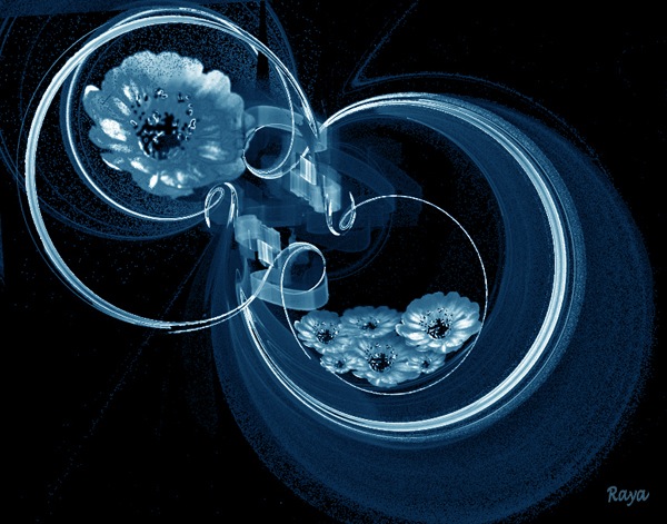 Image #2 of 11: 